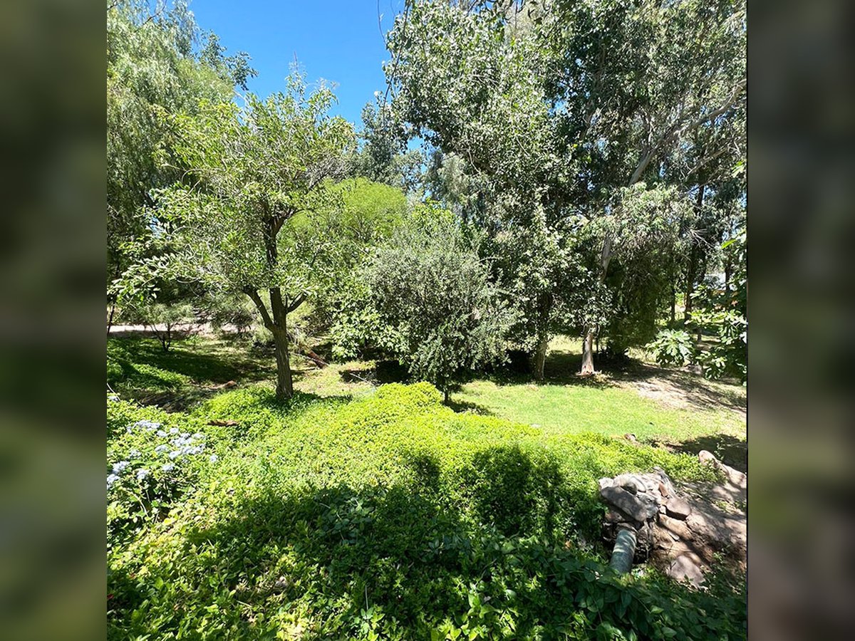 🏡🌄 Casa Campestre con Salón en 2 Hectáreas en Valle Grande