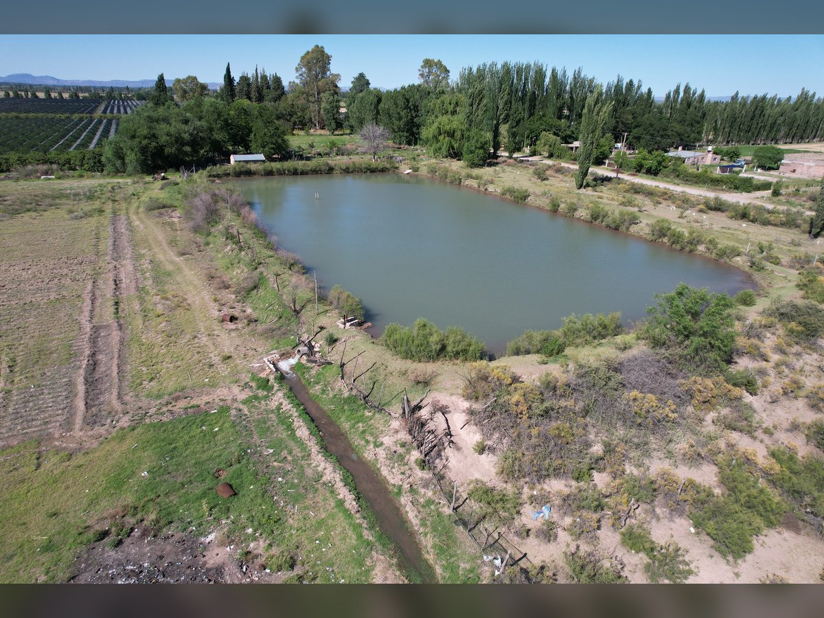 🍇 Finca Vitivinícola de 405 Ha con Viñedos Premium y Gran Potencial de Desarrollo