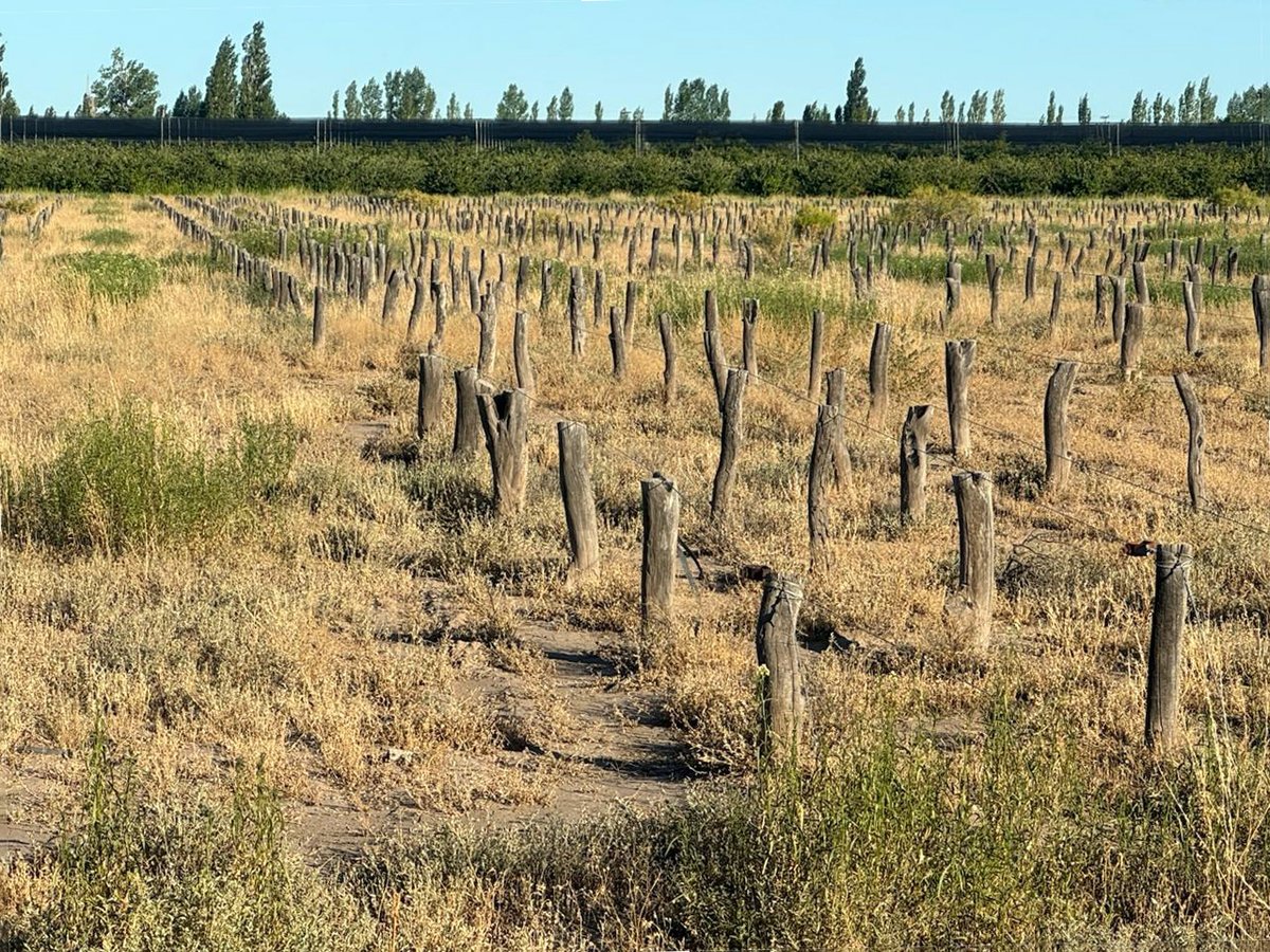 🍑 Finca Frutícola Productiva con Infraestructura y Maquinaria Completa