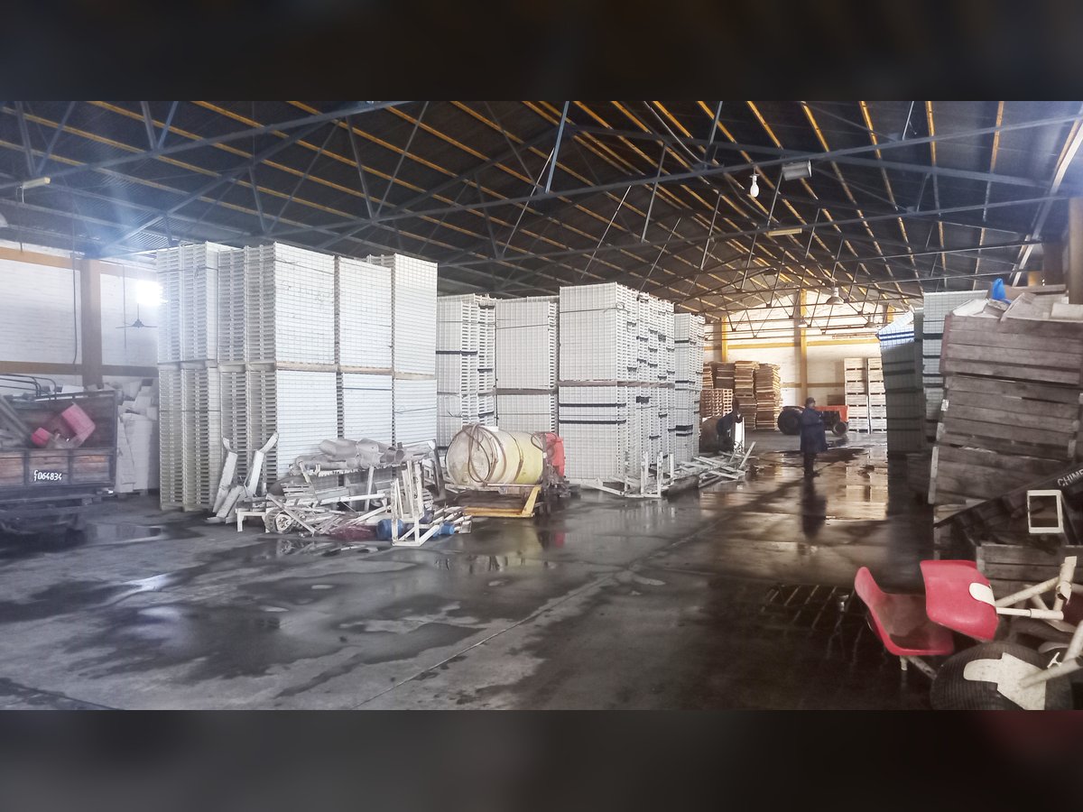 🏭 Galpones Industriales con Frigorífico y 7.200 m² Cubiertos
