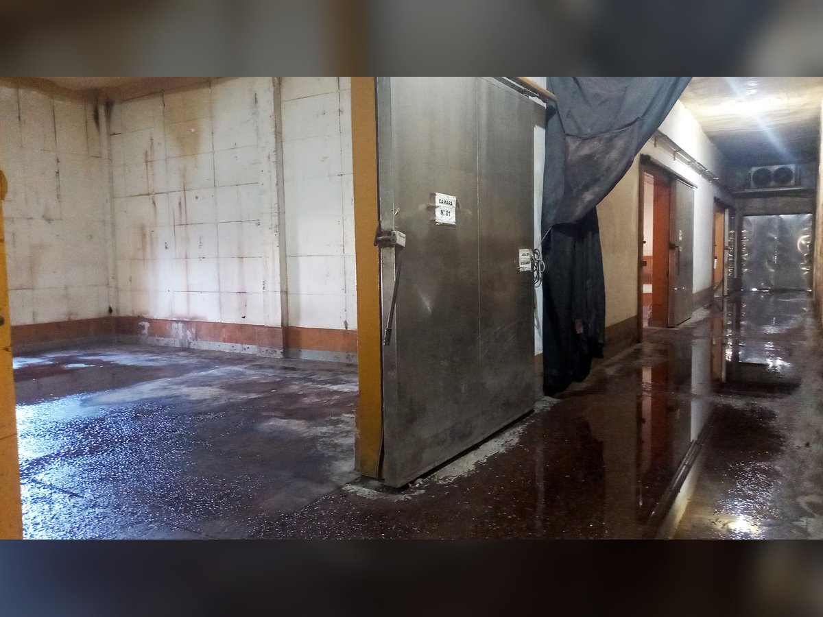 🏭 Galpones Industriales con Frigorífico y 7.200 m² Cubiertos