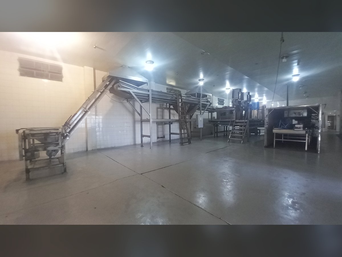 🏭 Galpones Industriales con Frigorífico y 7.200 m² Cubiertos