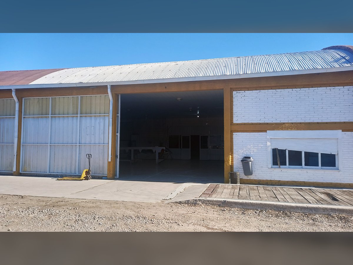 🏭 Galpones Industriales con Frigorífico y 7.200 m² Cubiertos